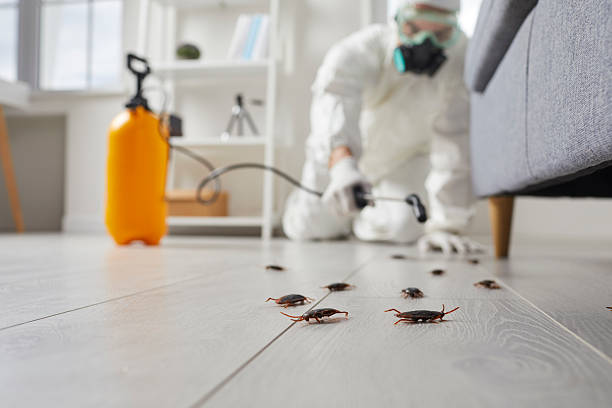 Commercial Kitchen Cockroach Control in Whispering Pines